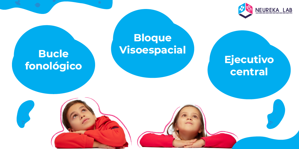 1. Bucle fonológico; 2. Bloque visoespacial; 3. Ejecutivo central.